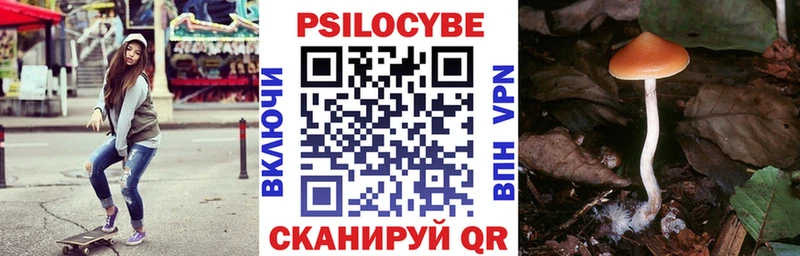 Псилоцибиновые грибы ЛСД  Купить  Саров 